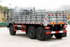 EQ2082DF Camión ligero de 2,5 toneladas con tracción en seis ruedas_Camión todoterreno de cabeza plana de 170 caballos de fuerza_Vehículo especial todoterreno 6*6 serie 'Bobcat'